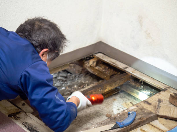 Water Damage Restoration in Crestline, OH