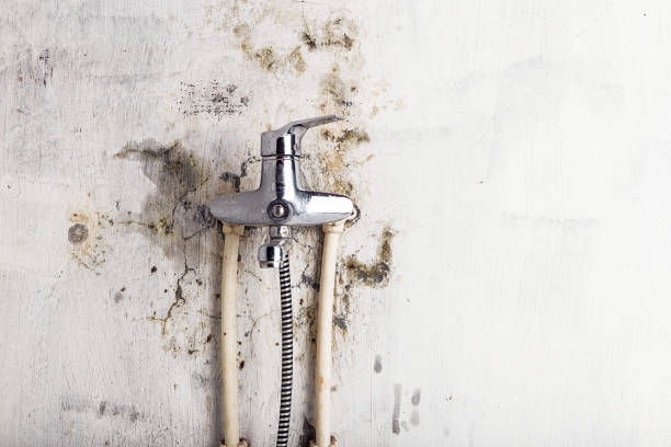 Best Certified Mold Removal  in Crestline, OH