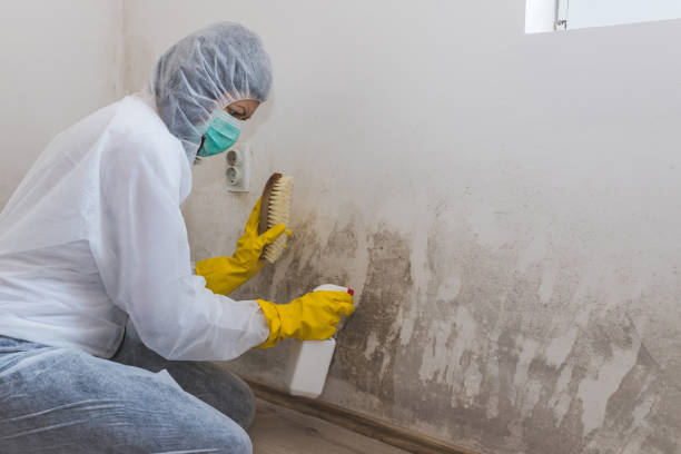 Best Water Damage Restoration  in Crestline, OH