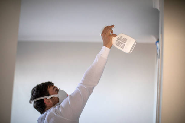 Best Best Mold Removal Companies  in Crestline, OH