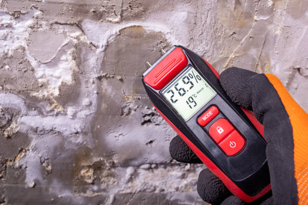 Best Black Mold Removal  in Crestline, OH