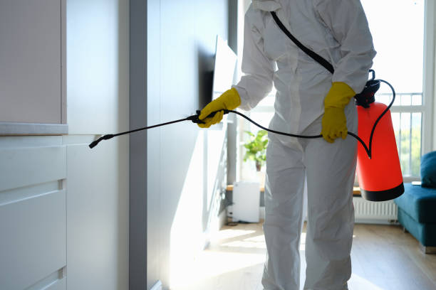 Best Mold Remediation  in Crestline, OH
