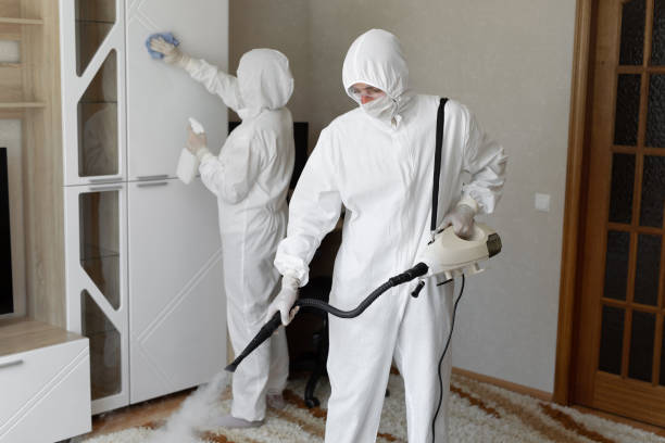 Crestline, OH Mold Removal Company