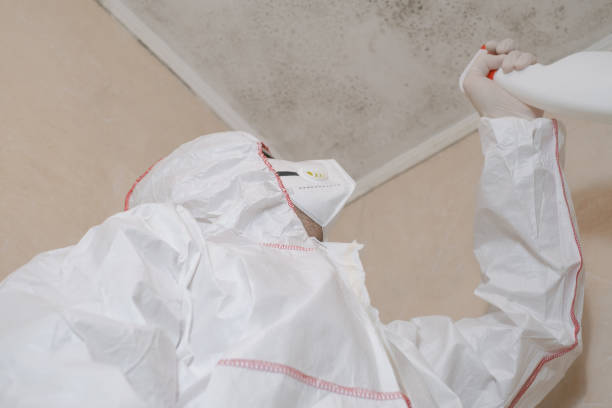 Best Home Mold Removal  in Crestline, OH