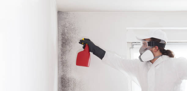 Best Office Mold Removal Services  in Crestline, OH